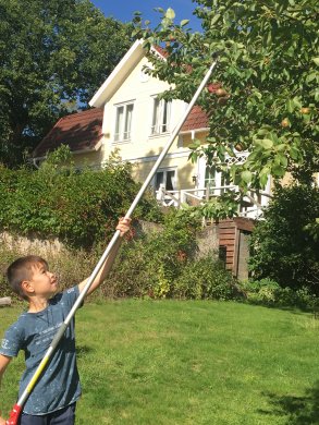 ARS Stångsekatör PRO